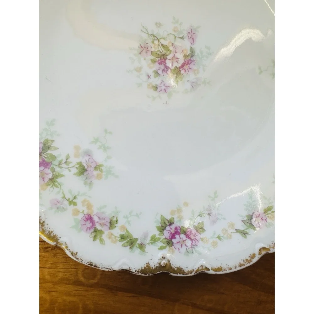 Theodore‎ Haviland Limoges Two Salad Plates Schleiger 855B France Vintage
